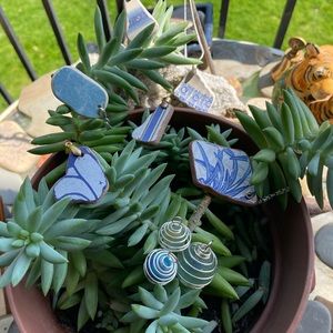 I’m selling necklaces I have drilled ocean tumbled Tile and Marbles in cages.